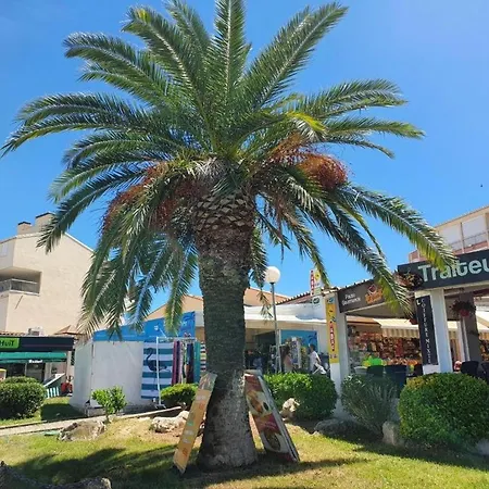 Apartamento T2 Rdc Avec Terrasse Sud, 4 Pers, Parking - Fr-1-307-187 *